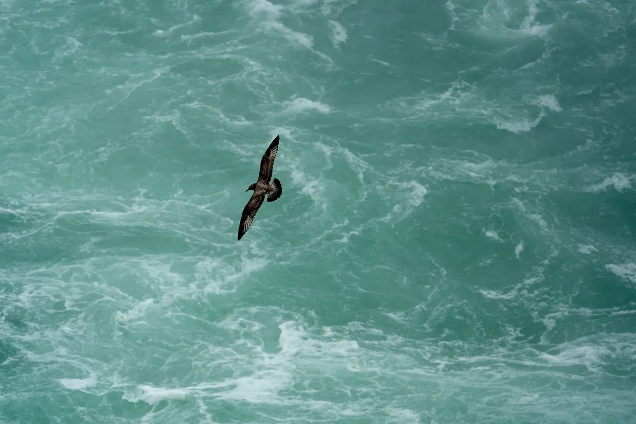 Niagara Falls. Photo: Veronika Stuksrud - www.activeandadventurous.com