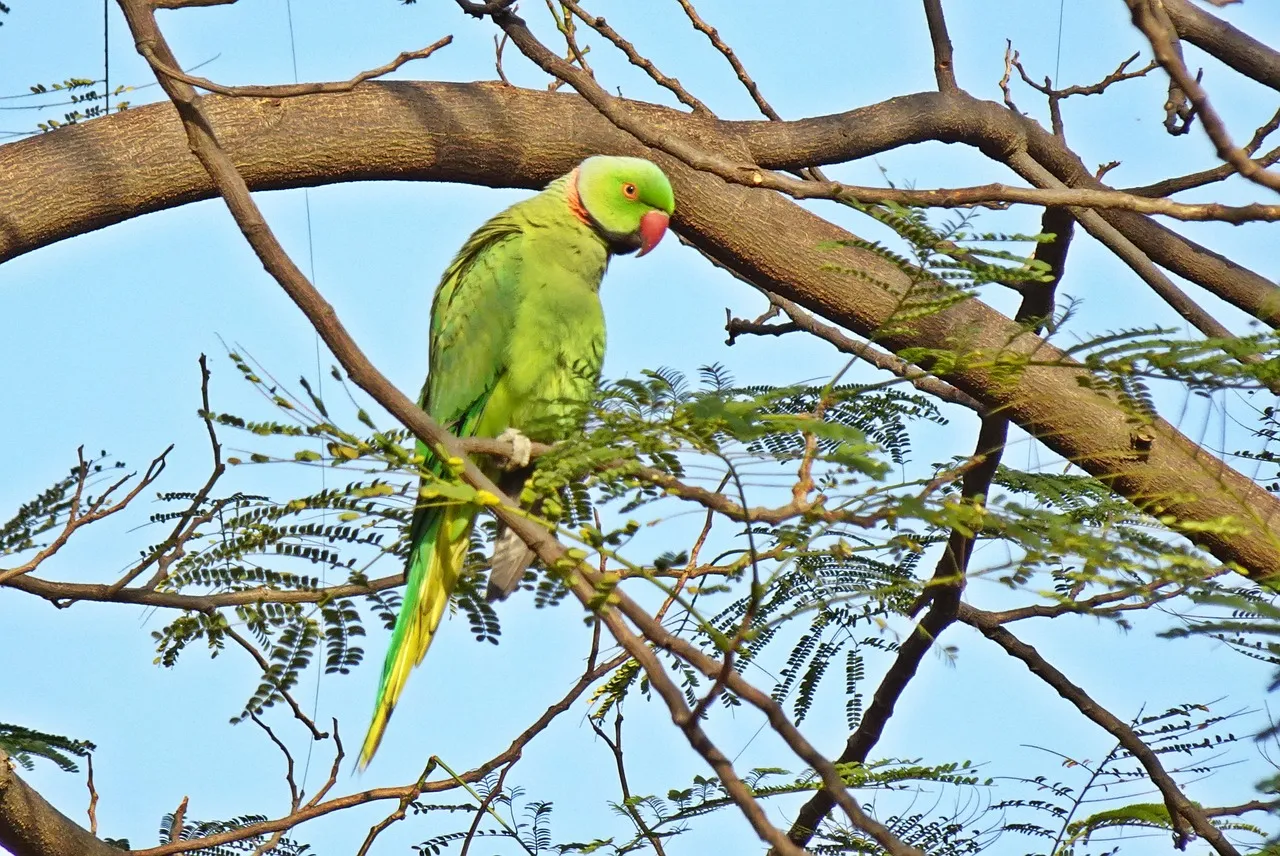 10 Adventure activities to do in Rajasthan