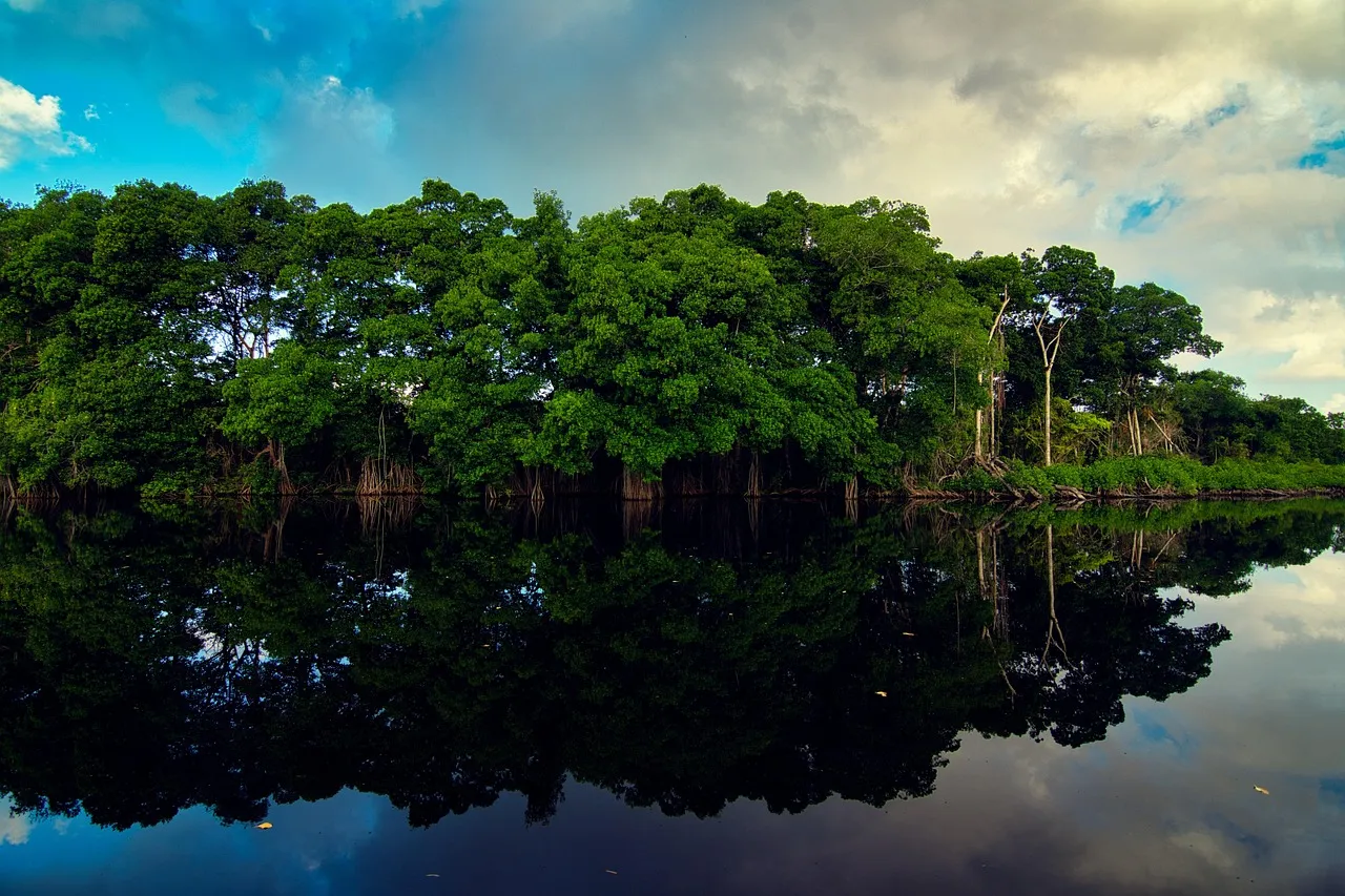 River tubing and the highest zipline in Belize