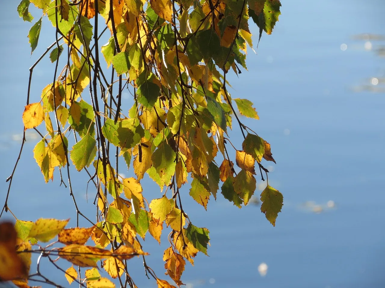Lake Saimaa - Finland